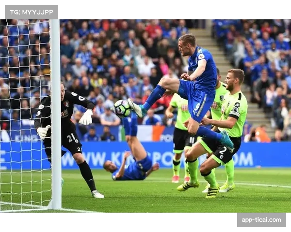 斯坦福桥球场测试新型草坪照明系统，旨在减少球员伤病